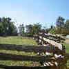 Yorktown-20040926-01.JPG