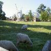Yorktown-20040926-04.JPG